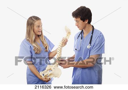 Stock Photograph - Young medical students in scrubs, studying a model of a human spine.. Fotosearch
