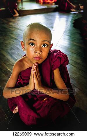 Young monk praying at Myanmar Monastery; Yangoon, Myanmar View Large Photo Image Stock Photo - Young monk praying at Myanmar Monastery; Yangoon, Myanmar. Fotosearch