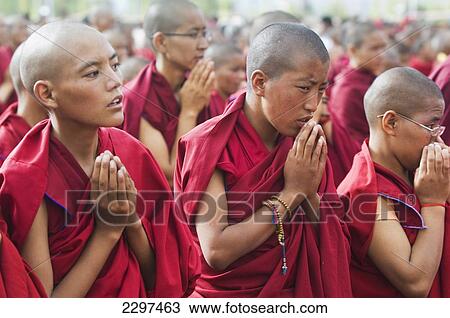 Young monks at the Dalai Lama's Teachings. The Dalai Lama visited Leh, Ladakh - a Buddhist enclave in northern India, for four days in August View Large Photo Image Stock Image - Young monks at the Dalai Lama's Teachings. The Dalai Lama visited Leh, Ladakh - a Buddhist enclave in northern India, for four days in August. Fotosearch