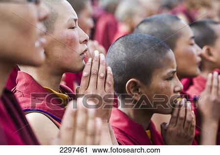 Stock Image - Young monks praying at the Dalai Lama's Teachings. The Dalai Lama visited Leh, Ladakh - a Buddhist enclave in northern India, for four days in August. Fotosearch