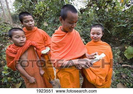 Stock Image - Young Novice Monks From Wat Naluang In Forest Collecting Wild Food, Luang Prabang, Northern Laos. Fotosearch