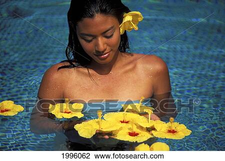 Young Polynesian Woman In Pool Surrounded By Floating Yellow Hibiscus Looking Down View Large Photo Image Stock Image - Young Polynesian Woman In Pool Surrounded By Floating Yellow Hibiscus Looking Down. Fotosearch