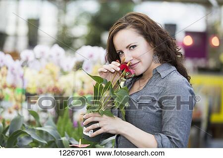 Stock Image - Young woman looking at plants and flower in an indoor greenhouse; St. Alberta, Alberta, Canada. Fotosearch