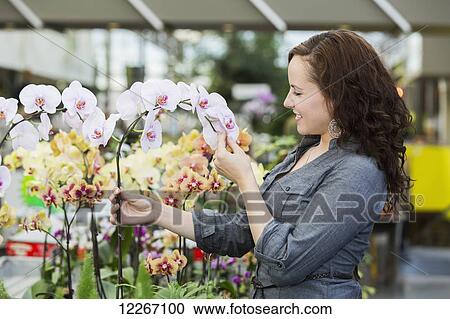 Young woman looking at plants in indoor greenhouse; St. Albert, Alberta, Canada View Large Photo Image Stock Image - Young woman looking at plants in indoor greenhouse; St. Albert, Alberta, Canada. Fotosearch