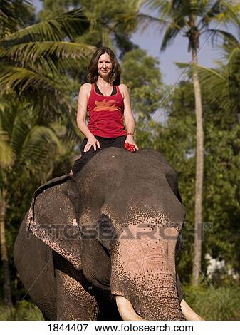 Stock Photo - Young Woman Sitting On Back Of Elephant; Kerala, India. Fotosearch