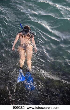 Stock Image - Young Woman Snorkeling In Sea On Mayan Riviera, Yucatan Peninsular, Quintana Roo State, Mexico. Fotosearch