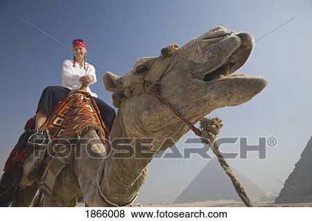 Young Woman Tourist On A Camel At The Pyramids Of Giza, Cairo, Egypt View Large Photo Image Stock Photo - Young Woman Tourist On A Camel At The Pyramids Of Giza, Cairo, Egypt. Fotosearch