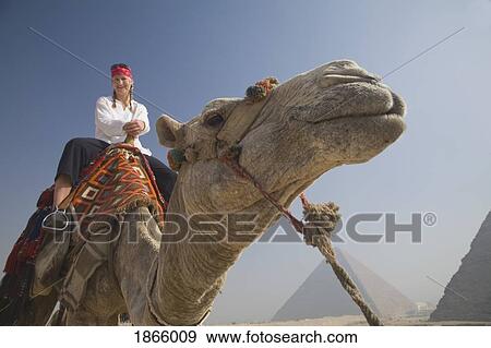 Young Woman Tourist On A Camel At The Pyramids Of Giza; Cairo, Egypt, Africa View Large Photo Image Stock Photo - Young Woman Tourist On A Camel At The Pyramids Of Giza; Cairo, Egypt, Africa. Fotosearch