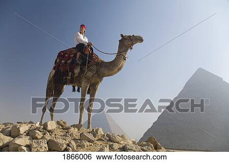 Stock Photograph - Young Woman Tourist On A Camel At The Pyramids Of Giza; Cairo, Egypt, Africa. Fotosearch