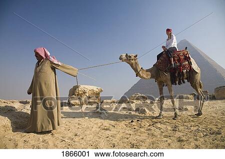 Young Woman Tourist On A Camel Being Led By A Guide At The Pyramids Of Giza, Cairo, Egypt View Large Photo Image Stock Image - Young Woman Tourist On A Camel Being Led By A Guide At The Pyramids Of Giza, Cairo, Egypt. Fotosearch