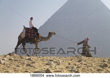 Young Woman Tourist Riding A Camel Lead By A Guide At The Pyramids Of Giza, Egypt View Large Photo Image Picture - Young Woman Tourist Riding A Camel Lead By A Guide At The Pyramids Of Giza, Egypt. Fotosearch