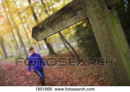 Young Woman Walking In Forest, Autumn View Large Photo Image Stock Photograph - Young Woman Walking In Forest, Autumn. Fotosearch