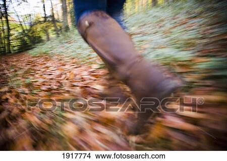 Picture - Young Woman Walking Through Woodland. Fotosearch