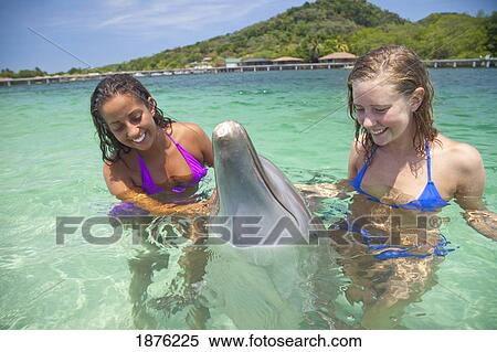 Stock Photography - Young Women In The Water With A Bottlenose Dolphin (Tursiops Truncatus) At Anthony's Key Resort; Roatan, Bay Islands, Honduras. Fotosearch