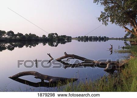 Stock Photo - Zambesi River. Fotosearch