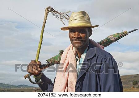 Zebu Herder Along The Road Between Ambositra & Ambavalao, Fianarantsoa Province, Madagascar View Large Photo Image Stock Image - Zebu Herder Along The Road Between Ambositra & Ambavalao, Fianarantsoa Province, Madagascar. Fotosearch