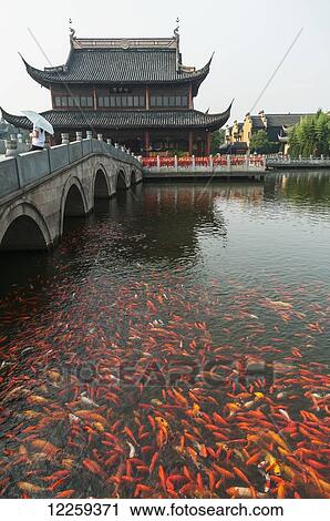 Stock Image - Zhouzhuang ancient town, beautiful traditional Chinese architecture; Zhouzhuang, Shanghai, China. Fotosearch
