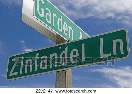 Zinfandel Lane Street Sign In Napa Valley; California United States Of America View Large Photo Image Stock Photo - Zinfandel Lane Street Sign In Napa Valley; California United States Of America. Fotosearch