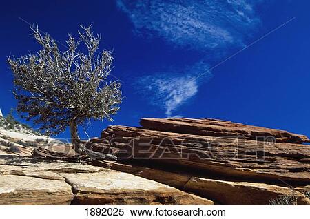 Stock Photography - Zion Canyon. Fotosearch
