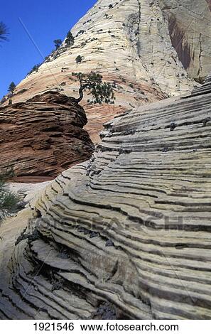 Zion Canyon, Zion National Park View Large Photo Image Stock Photograph - Zion Canyon, Zion National Park. Fotosearch