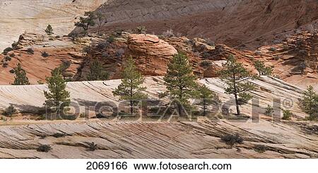 Stock Photograph - Zion National Park; Utah United States Of America. Fotosearch