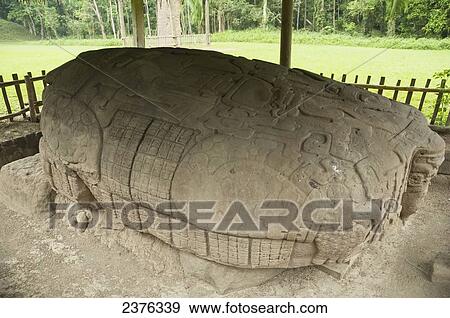 Stock Photo - Zoomorph G, Quirigu. Fotosearch