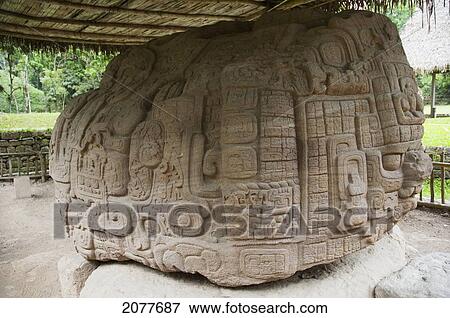 Stock Photo - Zoomorph P, Quirigu. Fotosearch