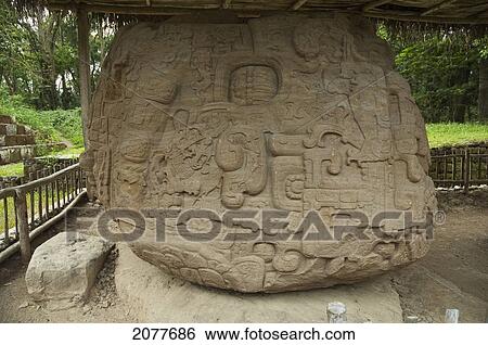 Zoomorph P, Quirigu View Large Photo Image Stock Photograph - Zoomorph P, Quirigu. Fotosearch