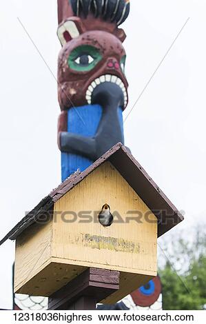 Stock Photograph - A baby swallow sits at the hole in it's nesting box and awaits a feeding by it's parents, the nesting box is located near a Totem Pole, South-central Alaska; Anchorage, Alaska, United States of America. Fotosearch
