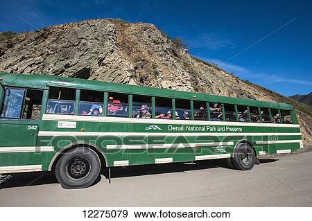A Denali Park Tour Bus is stopped at Sable Pass while the tourists are taking pictures out of the windows, Denali National Park, Interior Alaska. View Large Photo Image Stock Photo - A Denali Park Tour Bus is stopped at Sable Pass while the tourists are taking pictures out of the windows, Denali National Park, Interior Alaska.. Fotosearch