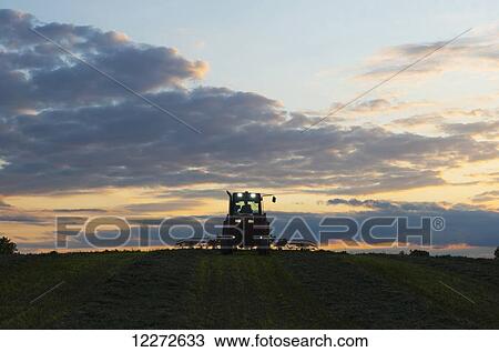 Stock Image - A farmer teds his alfalfa late in the day; Crawfordsville, Indiana, United States of America. Fotosearch