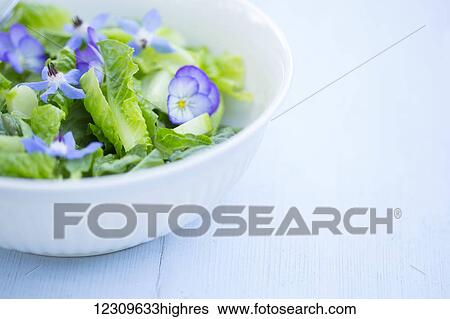 Stock Photograph - A gourmet green salad with blue borage and purple pansy flowers on a blue painted board background; New Westminster, British Columbia, Canada. Fotosearch