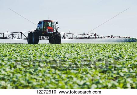 Stock Image - A high clearance sprayer applies herbicide to early growth canola, near Dugald; Manitoba, Canada. Fotosearch