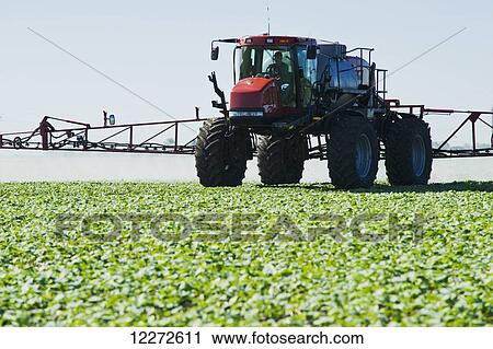 Stock Image - A high clearance sprayer applies herbicide to early growth canola, near Dugald; Manitoba, Canada. Fotosearch
