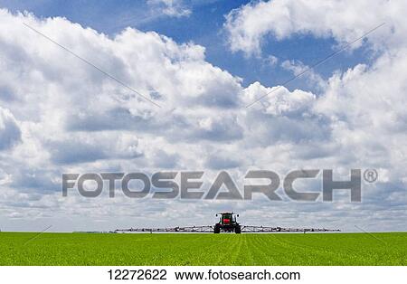 Stock Image - A high clearance sprayer applies herbicide to early growth wheat, near Dugald; Manitoba, Canada. Fotosearch