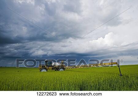 A high clearance sprayer that was applying fungicide on barley sits in a field as a storm approaches, near Holland; Manitoba, Canada View Large Photo Image Stock Image - A high clearance sprayer that was applying fungicide on barley sits in a field as a storm approaches, near Holland; Manitoba, Canada . Fotosearch