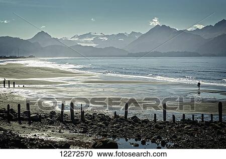 Stock Image - A Homer resident takes a beach walk along the Homer Spit during a low tide, Kenai Peninsula, Southcentral Alaska, autumn. Fotosearch