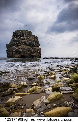 A large rock formation along the coast of South Shields; South Shields, Tyne and Wear, England View Large Photo Image Stock Photograph - A large rock formation along the coast of South Shields; South Shields, Tyne and Wear, England. Fotosearch