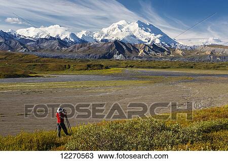A male tourist photographs Mt. McKinley and the Thorofare River valley in Denali National Park, Interior Alaska, USA. View Large Photo Image Stock Image - A male tourist photographs Mt. McKinley and the Thorofare River valley in Denali National Park, Interior Alaska, USA.. Fotosearch
