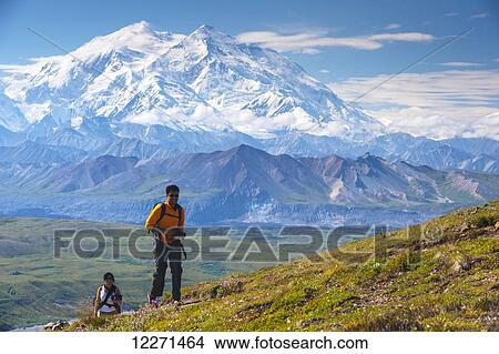 Picture - A Man and woman are hiking up a trail near the Eielson Visitor Center in Denali National Park with Mount McKinley in the background, Interior Alaska. Fotosearch