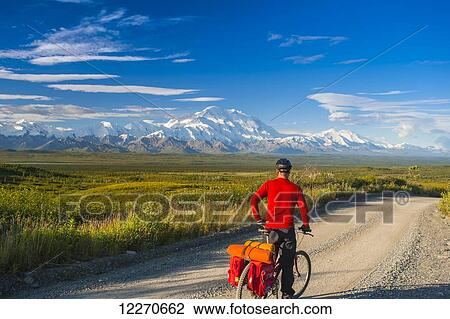 A man bicycle touring in Denali National Park with Mt. McKinley in the background, Interior Alaska, Summer View Large Photo Image Stock Image - A man bicycle touring in Denali National Park with Mt. McKinley in the background, Interior Alaska, Summer. Fotosearch