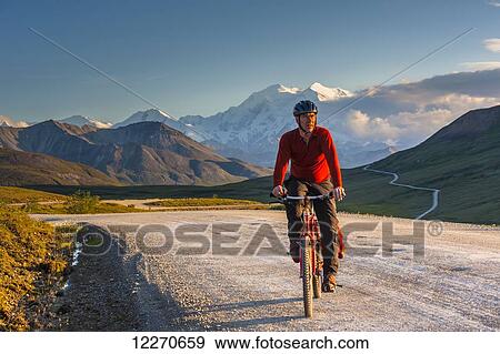 A man bicycle touring in Denali National Park with Mt. McKinley in the background, Interior Alaska, Summer View Large Photo Image Stock Photo - A man bicycle touring in Denali National Park with Mt. McKinley in the background, Interior Alaska, Summer. Fotosearch