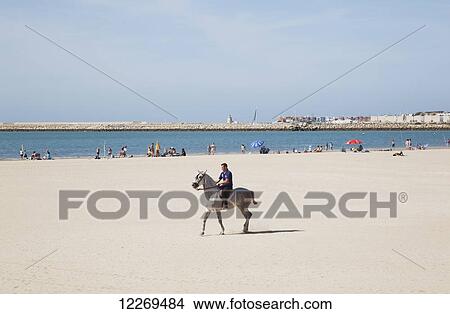 A man rides a horse on a beach; El Porto de La Santa Maria, Andalusia, Spain View Large Photo Image Picture - A man rides a horse on a beach; El Porto de La Santa Maria, Andalusia, Spain. Fotosearch