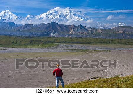 Stock Photo - A man views Mt. McKinley from a hillside near the Eielson Visitor Center in Denali National Park, Interior Alaska, Summer. Fotosearch