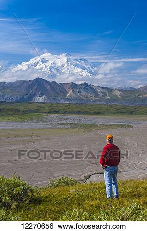 Stock Photograph - A man views Mt. McKinley from a hillside near the Eielson Visitor Center in Denali National Park, Interior Alaska, Summer. Fotosearch