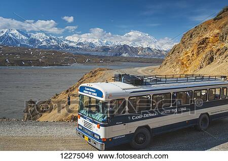 Stock Photo - A park bus on the park road with Mount Mckinley in the background, Denali National Park, Alaska, Summer. Fotosearch