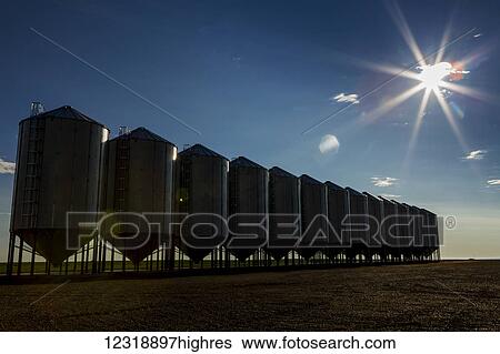 Stock Photograph - A row of large metal grain bins with a sun burst and blue sky; Mossleigh, Alberta, Canada. Fotosearch