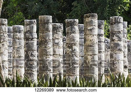 A series of Ancient Mayan stone columns with trees in the background; Chichen Itza, Yucatan, Mexico View Large Photo Image Stock Photo - A series of Ancient Mayan stone columns with trees in the background; Chichen Itza, Yucatan, Mexico. Fotosearch