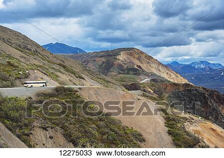 A tour bus stops on the Park Road at Polychrome Pass as a group Dall sheep ram approach the road, Denali National Park, Interior Alaska View Large Photo Image Stock Image - A tour bus stops on the Park Road at Polychrome Pass as a group Dall sheep ram approach the road, Denali National Park, Interior Alaska. Fotosearch
