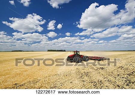 A tractor pulling a disc harrow works soil containing barley stubble, near Lorette; Manitoba, Canada View Large Photo Image Stock Photo - A tractor pulling a disc harrow works soil containing barley stubble, near Lorette; Manitoba, Canada. Fotosearch